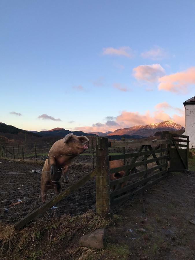 Garrison Of Inversnaid Farm With Hot Tub Bagian luar foto